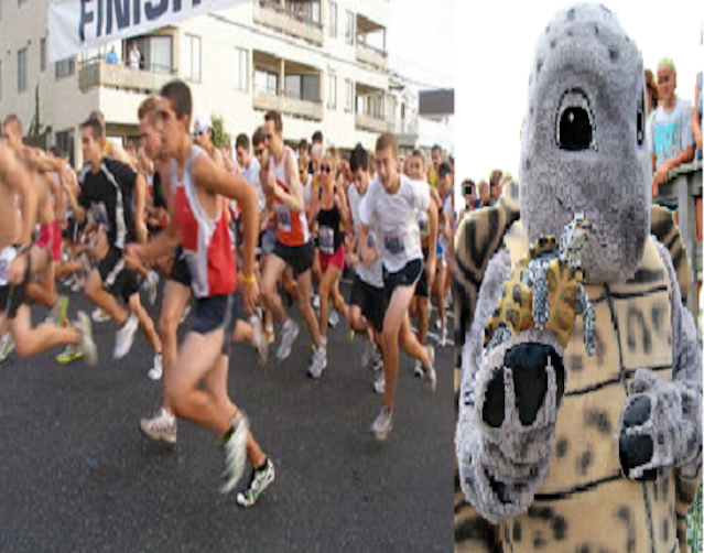 Stone Harbor Turtle Trot 5k